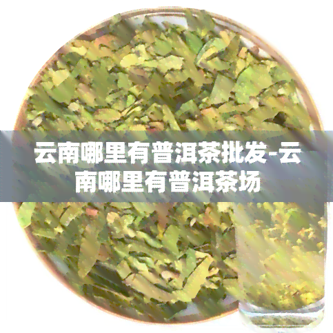 云南哪里有普洱茶批发-云南哪里有普洱茶场