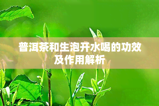 普洱茶和生泡开水喝的功效及作用解析