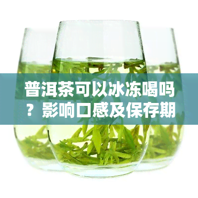 普洱茶可以冰冻喝吗？影响口感及保存期限的因素解析