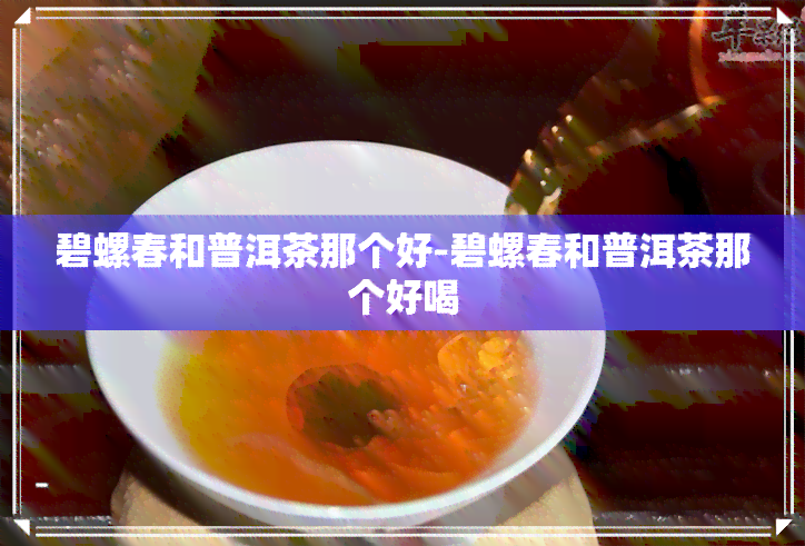 碧螺春和普洱茶那个好-碧螺春和普洱茶那个好喝