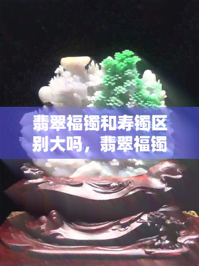 翡翠福镯和寿镯区别大吗，翡翠福镯与寿镯：有何不同之处？