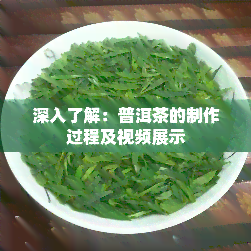 深入了解：普洱茶的制作过程及视频展示