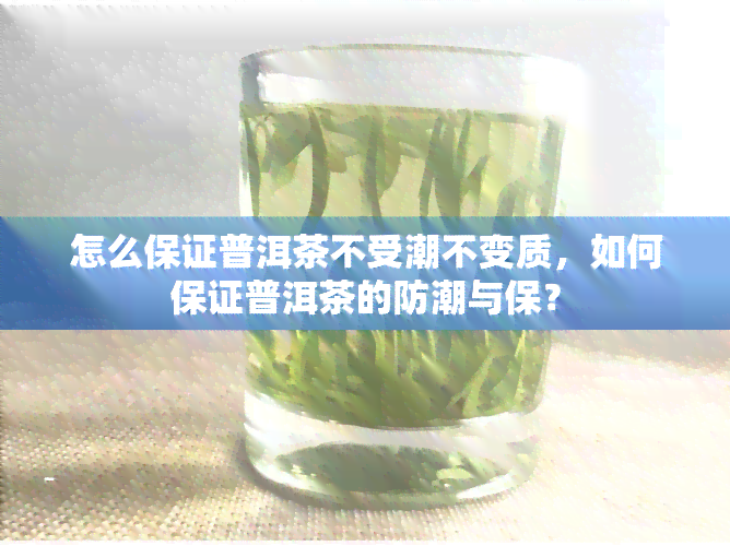 怎么保证普洱茶不受潮不变质，如何保证普洱茶的防潮与保？