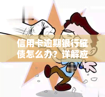 信用卡逾期银行催债怎么办？详解应对策略与处理流程