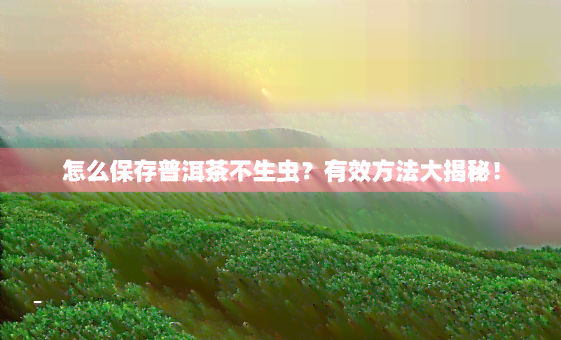 怎么保存普洱茶不生虫？有效方法大揭秘！