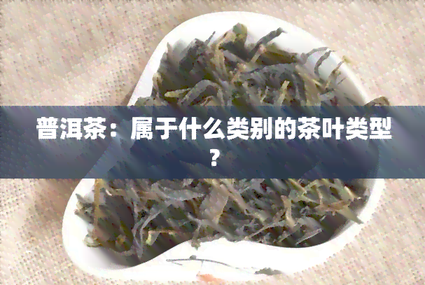 普洱茶：属于什么类别的茶叶类型？