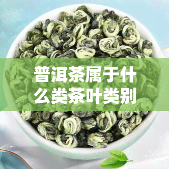 普洱茶属于什么类茶叶类别？详解其归属与特点