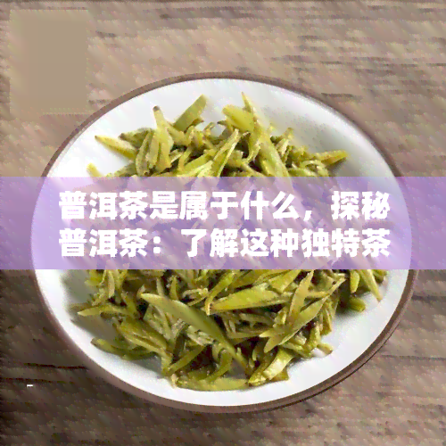 普洱茶是属于什么，探秘普洱茶：了解这种独特茶叶的种类和特性