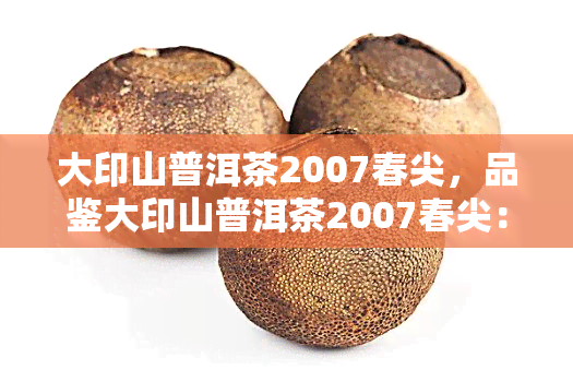 大印山普洱茶2007春尖，品鉴大印山普洱茶2007春尖：独特口感与历韵味的完美结合