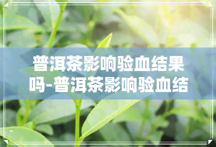 普洱茶影响验血结果吗-普洱茶影响验血结果吗女性