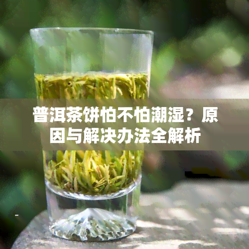 普洱茶饼怕不怕潮湿？原因与解决办法全解析