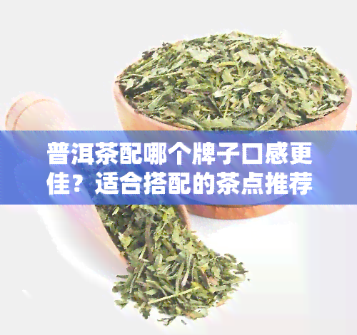 普洱茶配哪个牌子口感更佳？适合搭配的茶点推荐