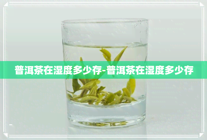 普洱茶在湿度多少存-普洱茶在湿度多少存