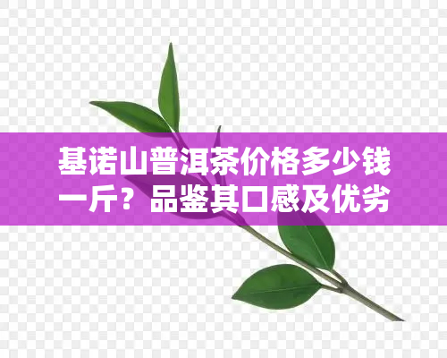 基诺山普洱茶价格多少钱一斤？品鉴其口感及优劣