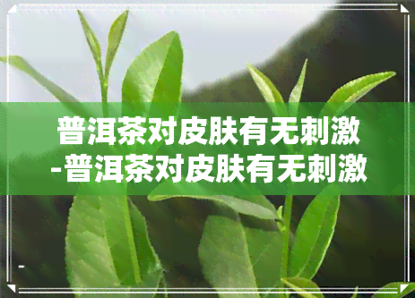 普洱茶对皮肤有无刺激-普洱茶对皮肤有无刺激性