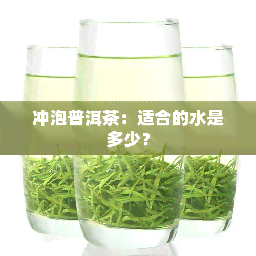 冲泡普洱茶：适合的水是多少？