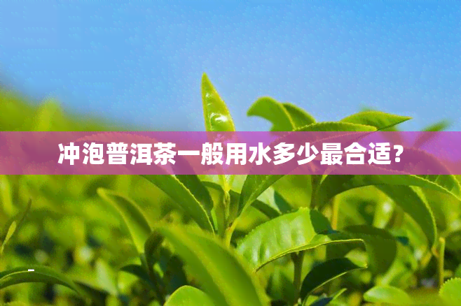 冲泡普洱茶一般用水多少最合适？