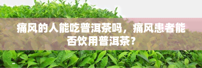 痛风的人能吃普洱茶吗，痛风患者能否饮用普洱茶？