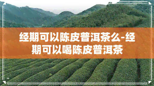 经期可以陈皮普洱茶么-经期可以喝陈皮普洱茶