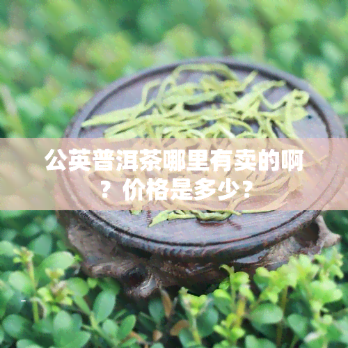 公英普洱茶哪里有卖的啊？价格是多少？