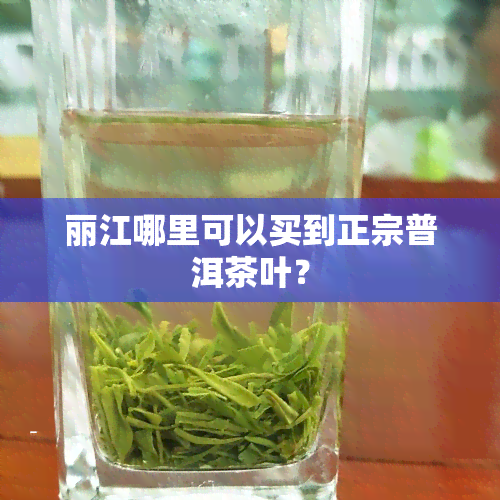 丽江哪里可以买到正宗普洱茶叶？