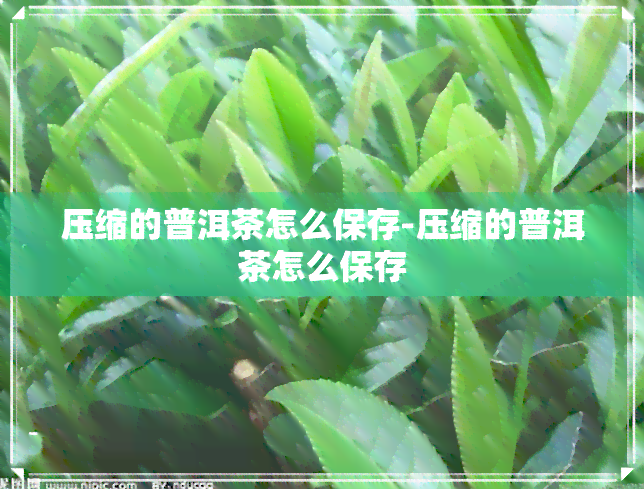 压缩的普洱茶怎么保存-压缩的普洱茶怎么保存