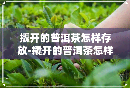 撬开的普洱茶怎样存放-撬开的普洱茶怎样存放