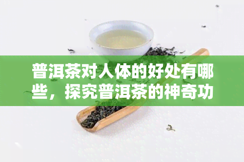 普洱茶对人体的好处有哪些，探究普洱茶的神奇功效：对人体的多种好处