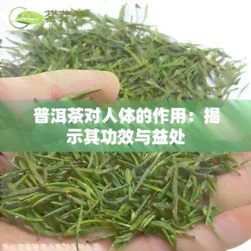 普洱茶对人体的作用：揭示其功效与益处