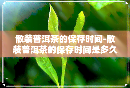 散装普洱茶的保存时间-散装普洱茶的保存时间是多久