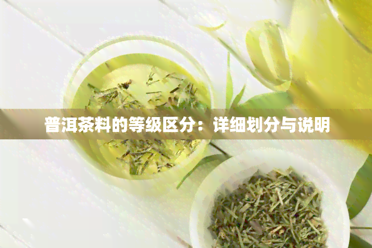 普洱茶料的等级区分：详细划分与说明