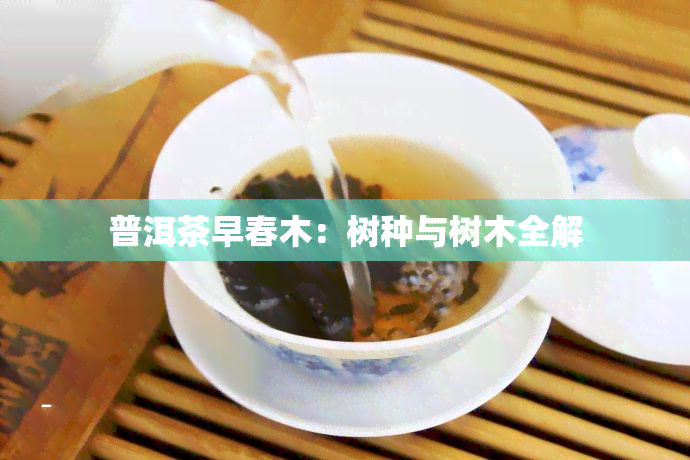 普洱茶早春木：树种与树木全解