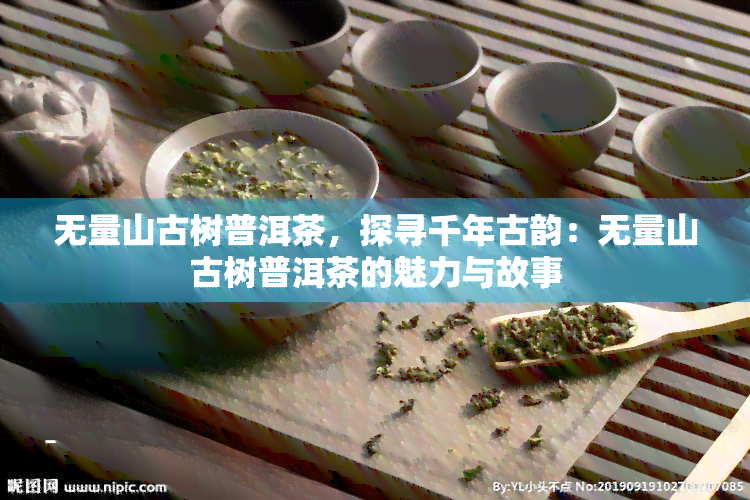 无量山古树普洱茶，探寻千年古韵：无量山古树普洱茶的魅力与故事