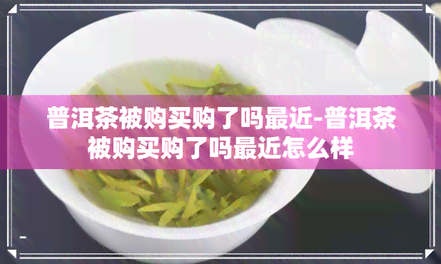 普洱茶被购买购了吗最近-普洱茶被购买购了吗最近怎么样