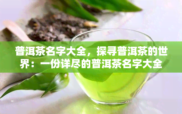 普洱茶名字大全，探寻普洱茶的世界：一份详尽的普洱茶名字大全