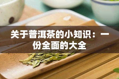 关于普洱茶的小知识：一份全面的大全