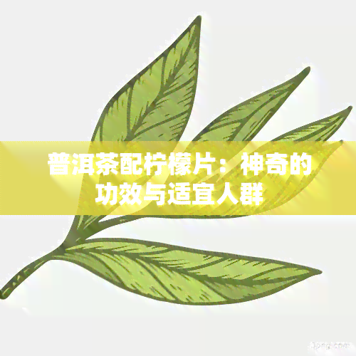 普洱茶配柠檬片：神奇的功效与适宜人群