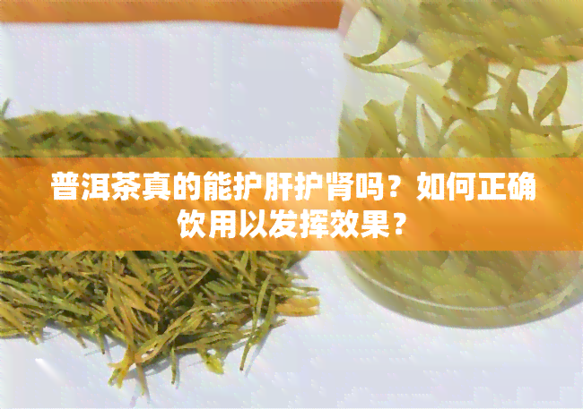 普洱茶真的能护肝护肾吗？如何正确饮用以发挥效果？