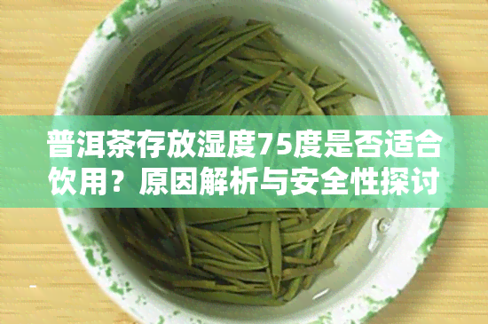 普洱茶存放湿度75度是否适合饮用？原因解析与安全性探讨