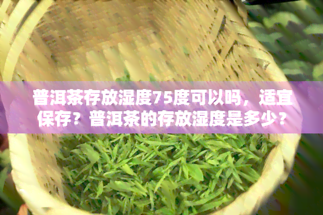 普洱茶存放湿度75度可以吗，适宜保存？普洱茶的存放湿度是多少？