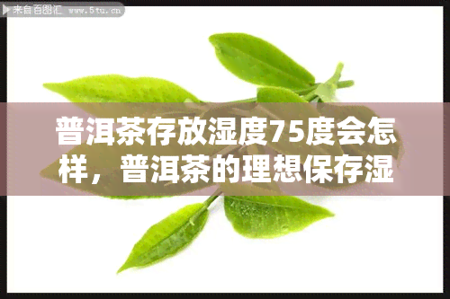 普洱茶存放湿度75度会怎样，普洱茶的理想保存湿度：75%的选择