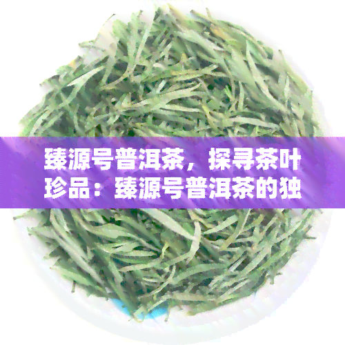 臻源号普洱茶，探寻茶叶珍品：臻源号普洱茶的独特魅力