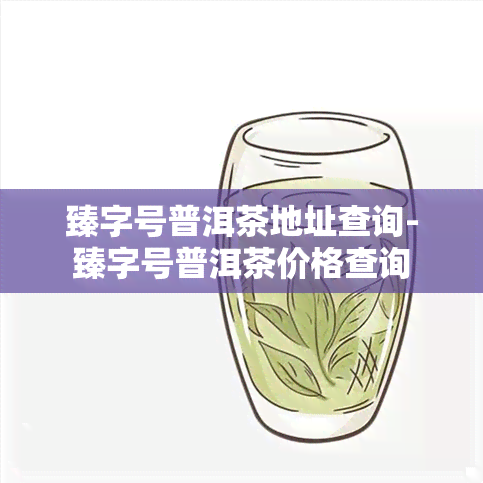 臻字号普洱茶地址查询-臻字号普洱茶价格查询