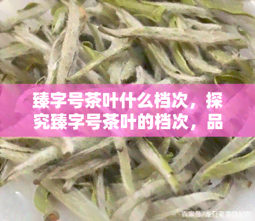 臻字号茶叶什么档次，探究臻字号茶叶的档次，品味高端茶文化的魅力