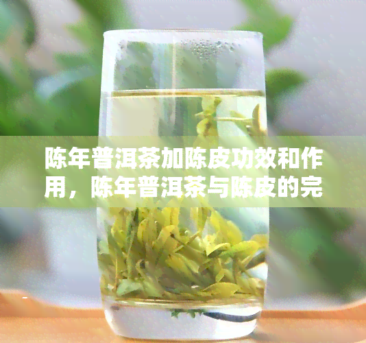 陈年普洱茶加陈皮功效和作用，陈年普洱茶与陈皮的完美结合：养生功效与作用解析