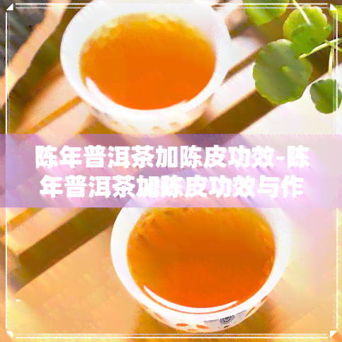 陈年普洱茶加陈皮功效-陈年普洱茶加陈皮功效与作用