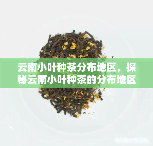 云南小叶种茶分布地区，探秘云南小叶种茶的分布地区