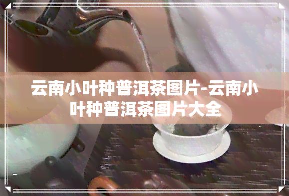 云南小叶种普洱茶图片-云南小叶种普洱茶图片大全