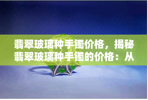 翡翠玻璃种手镯价格，揭秘翡翠玻璃种手镯的价格：从入门到高端，你需要知道的一切！