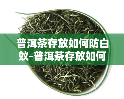 普洱茶存放如何防白蚁-普洱茶存放如何防白蚁呢